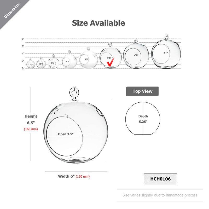 WGVI WGV Hanging Terrarium Globe, Width 6", Height 6.5", DIY Air Succulent Planter, Clear Glass Vase Orb with Flat Bottom, Candle Holder for Windowsill Outdoor Garden Decor, 1 Piece - Image 2